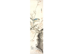鸚鵡